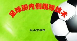 今晚一肖中特，揭秘生肖预测的奥秘与理性思考一肖中特今晚期期准
