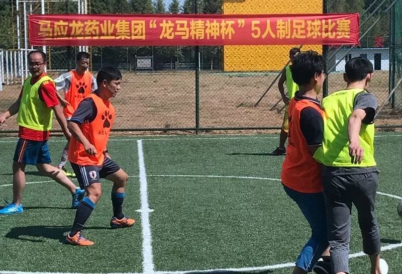 足球激情，在线直播，解锁足球迷的全新观赛体验