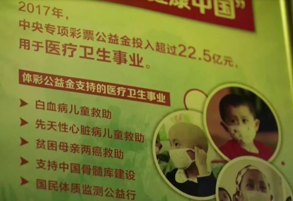 中华彩票专家最新预测，洞悉数字背后的智慧之光