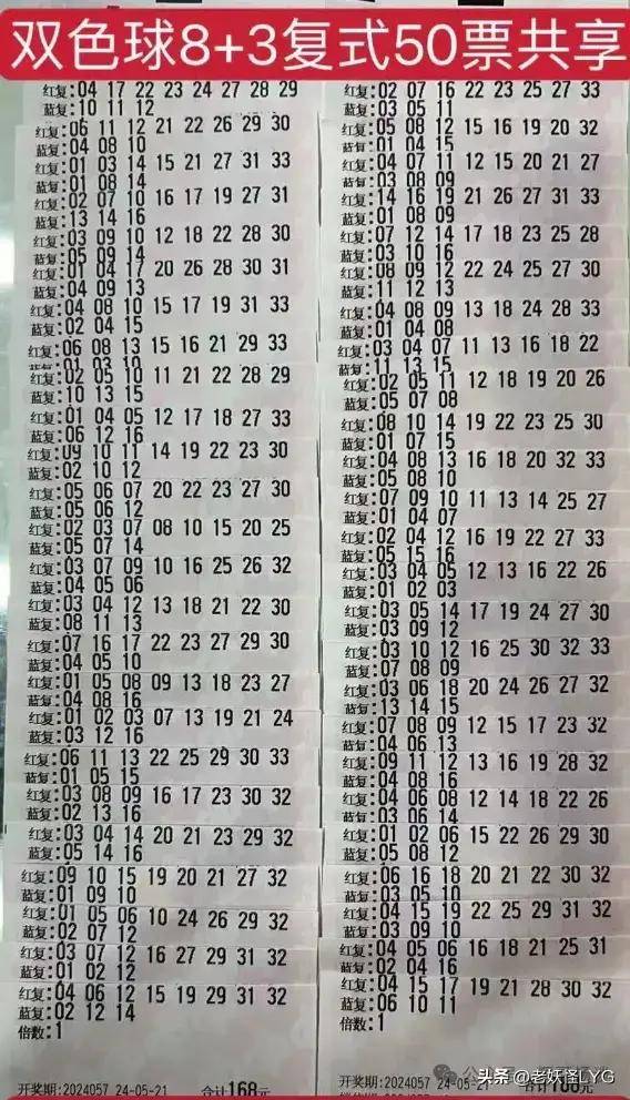 揭秘双色球2020024期，幸运数字的璀璨绽放