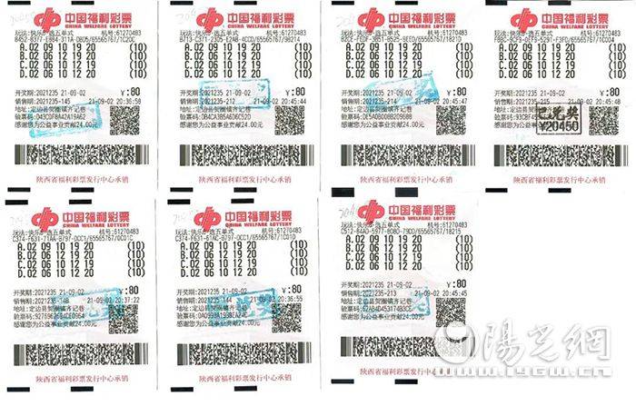 福彩3D定位字谜，解锁数字背后的智慧与乐趣