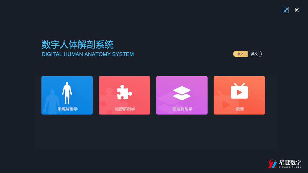 动能 第319页