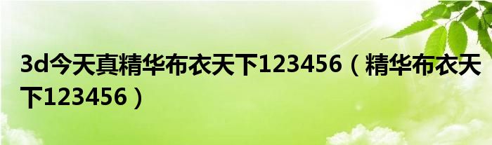 探索3D精华布衣的魅力，天中图库的123456奥秘