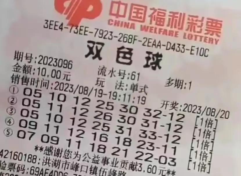 揭秘管家婆精选资料八码中特，理性看待彩票与概率的较量管家婆精选八肖必出