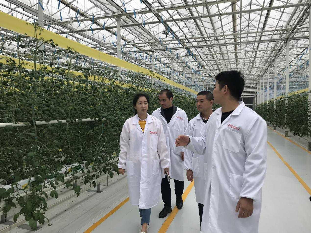 采购网，重塑企业供应链的数字化新篇章