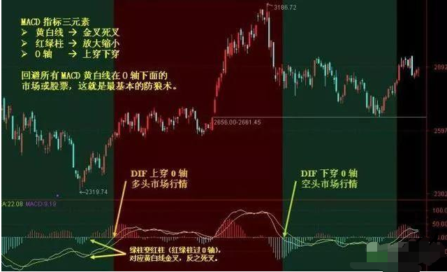 探索南粤36选7，数字背后的奥秘与趋势分析