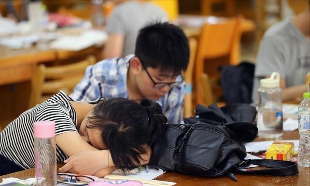 探索未来之路，解析中国教育考研招生信息网的重要性与使用指南