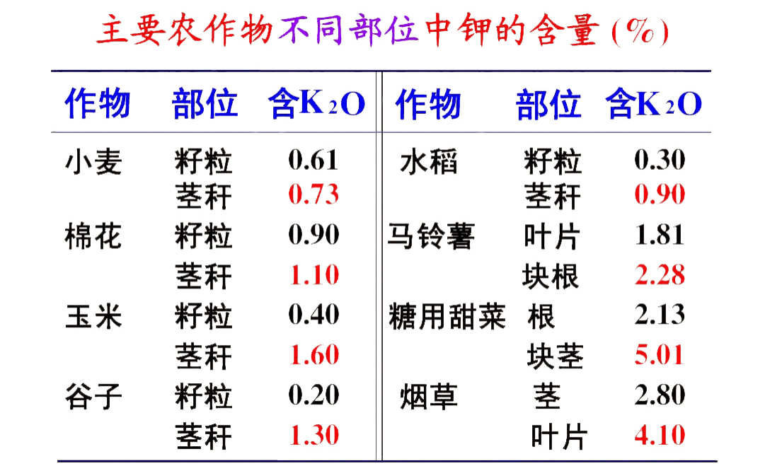 于海滨一语定胆3D字谜，揭秘数字背后的智慧与乐趣