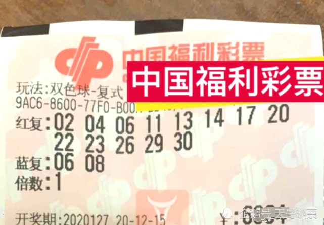 梦想与幸运 第10页