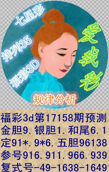 2019年福彩3D全年开奖号码回顾与数据分析
