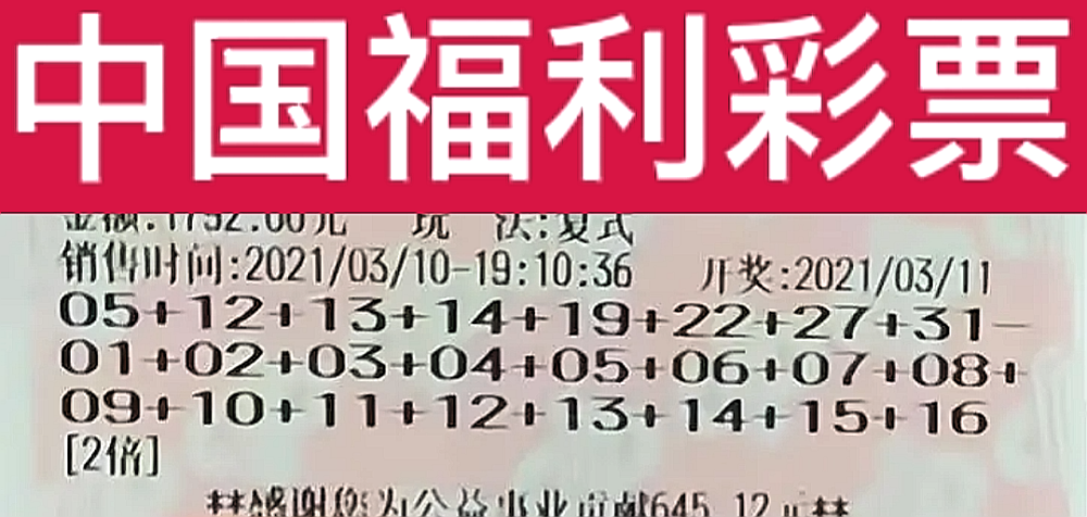 浙江福彩双色球开奖视频，揭秘背后的公正与乐趣
