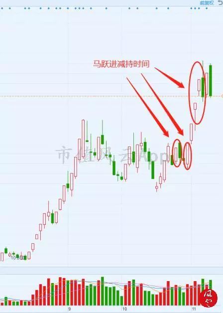 浙江风采七星彩超长版走势图，解码数字背后的奥秘