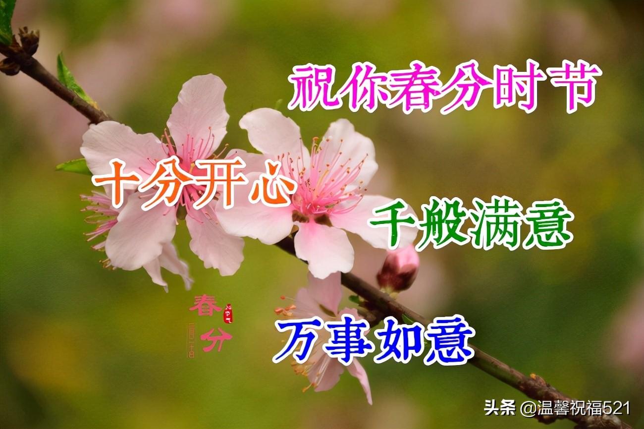 快乐6加1，梦想与幸运的交响曲