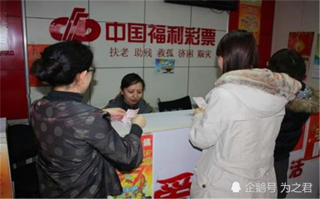 河北20选5新浪走势图，透视数字背后的彩民智慧与市场动态