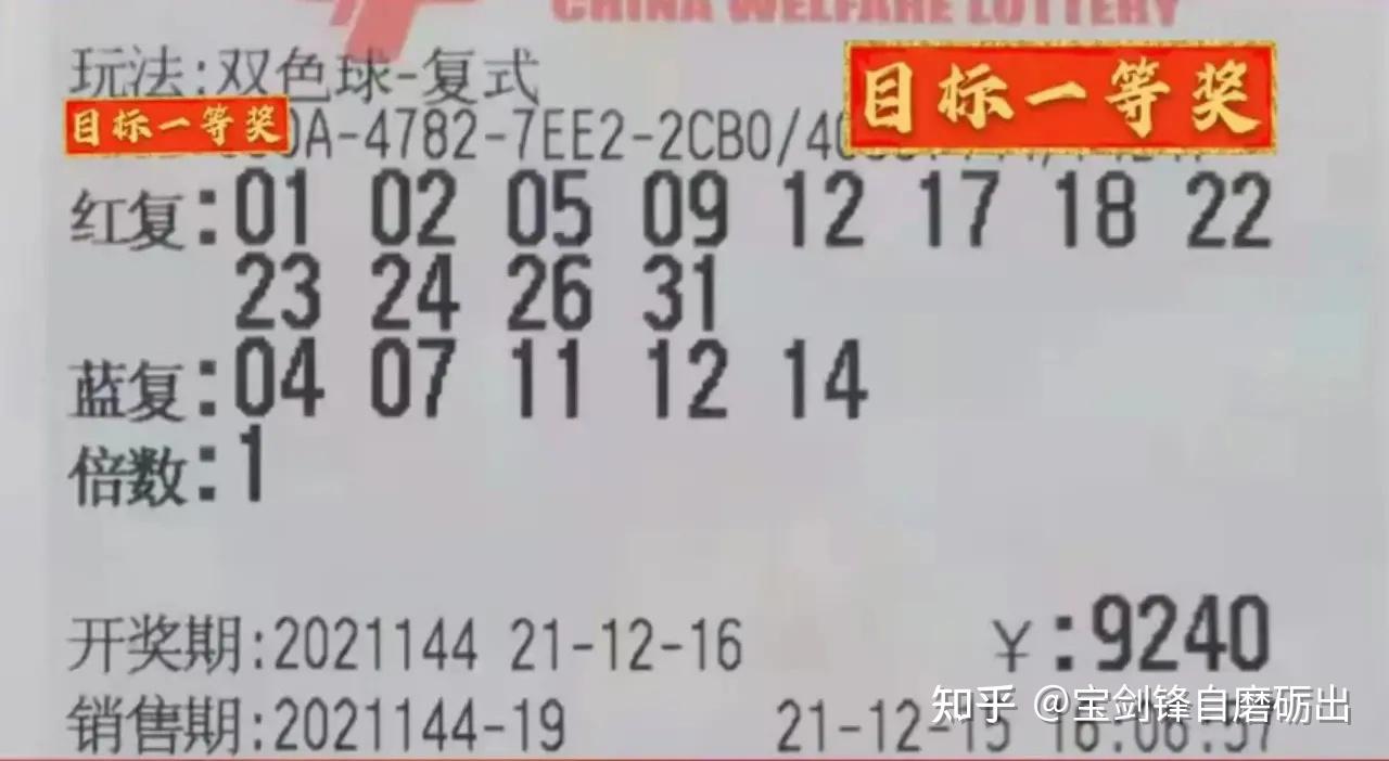智慧与运气的碰撞