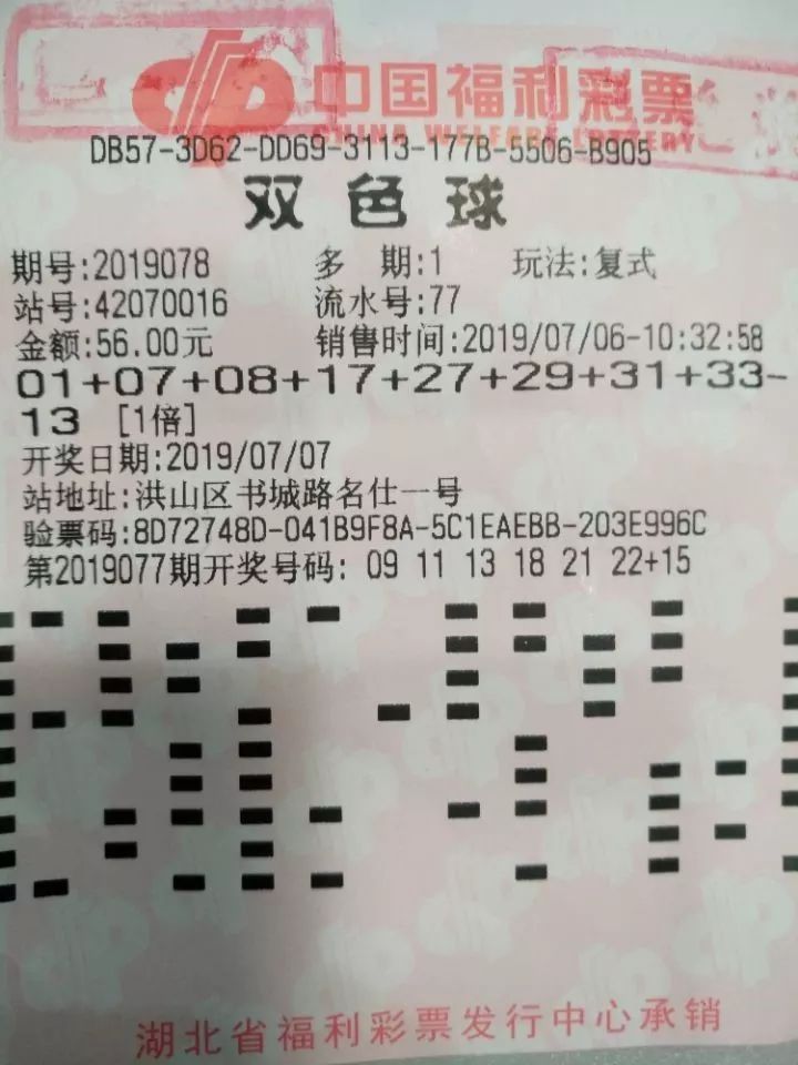 澳彩期期的神秘与凤凰艺术的辉煌，一场跨界融合的视觉盛宴澳彩期期准凤凰艺术幽默闲情