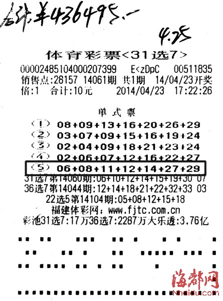 31选7高手论坛，探索数字彩票的智慧与策略