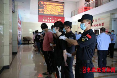 澳洲10，历史开奖结果的深度剖析与展望