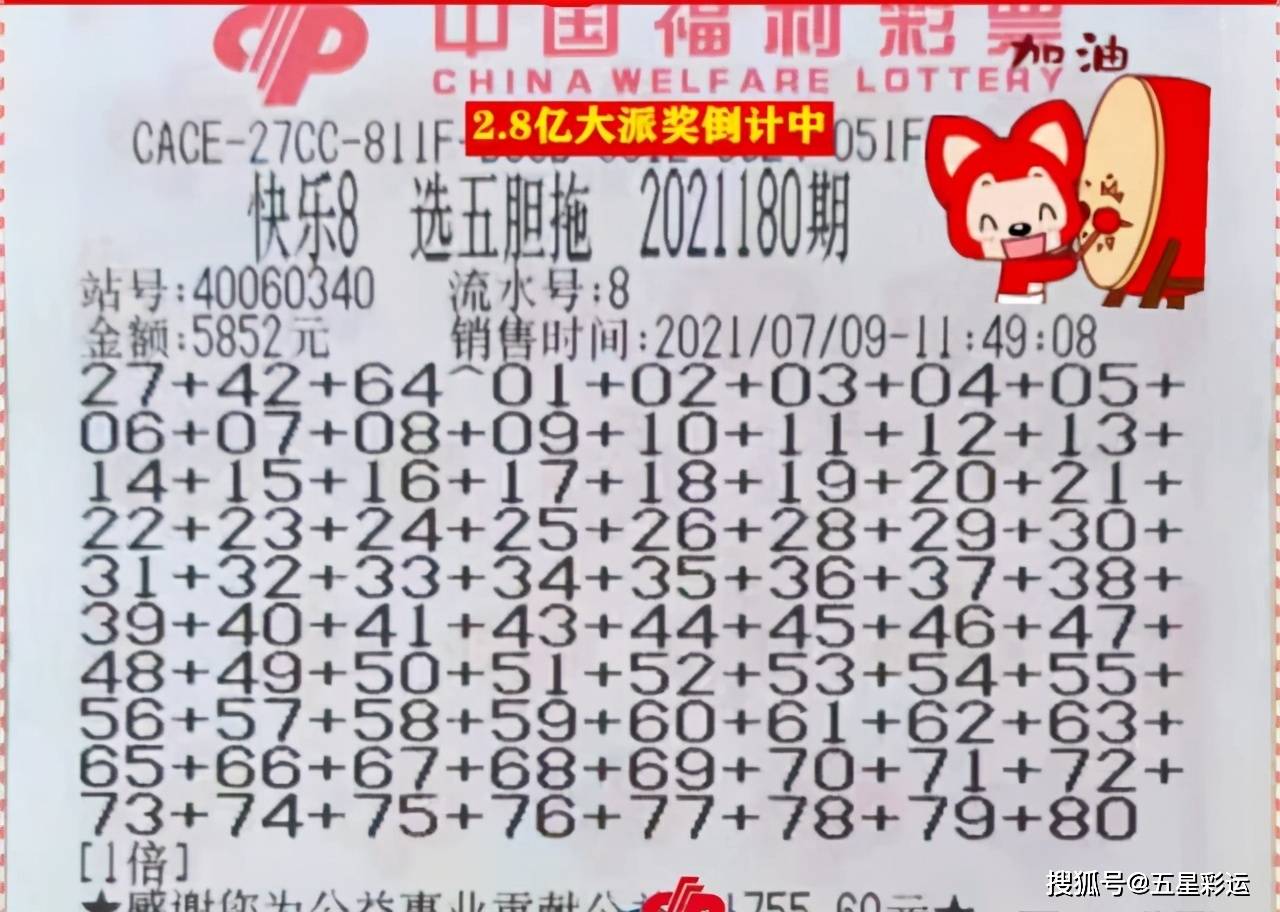 福彩3D字谜总汇100期，探索数字背后的奥秘与乐趣