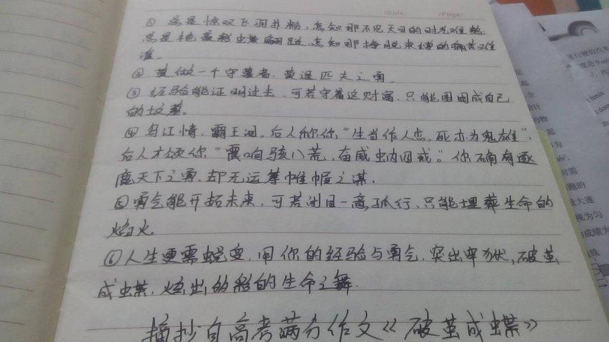 精彩片段摘抄