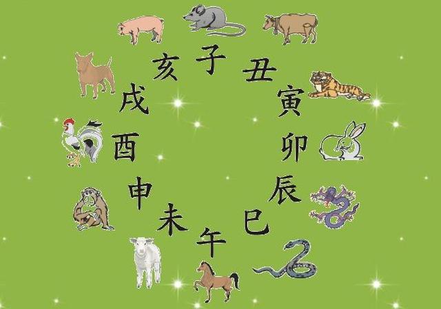 左邻右舍的温馨——揭秘打一生肖的秘密