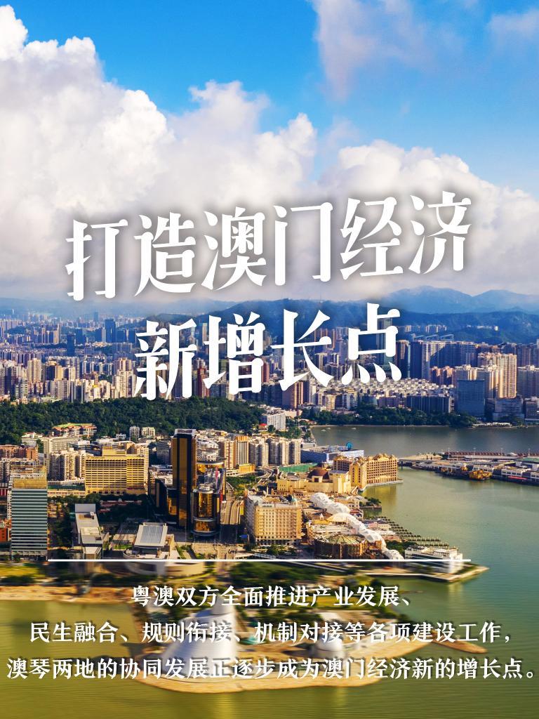 澳门资料凤凰大全，探索东方之珠的多元魅力澳门精准资料免费公开大全风