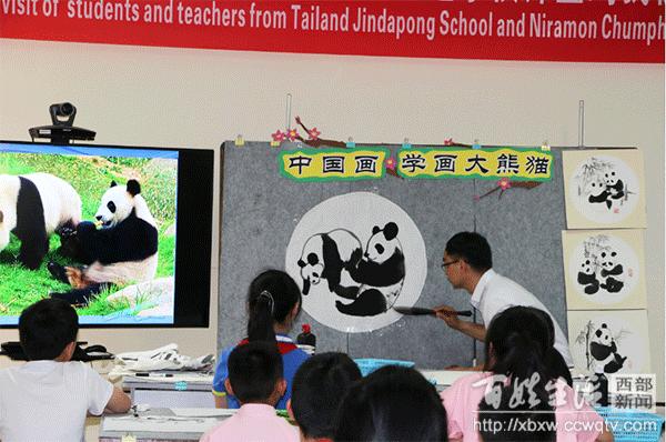 天天彩，数字游戏中的生活哲学与梦想追逐天天彩选4