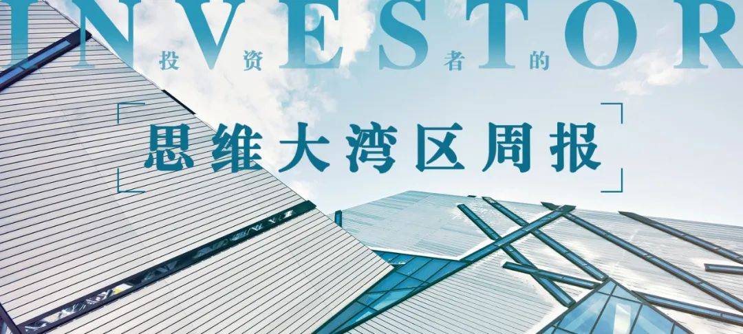 策略指南