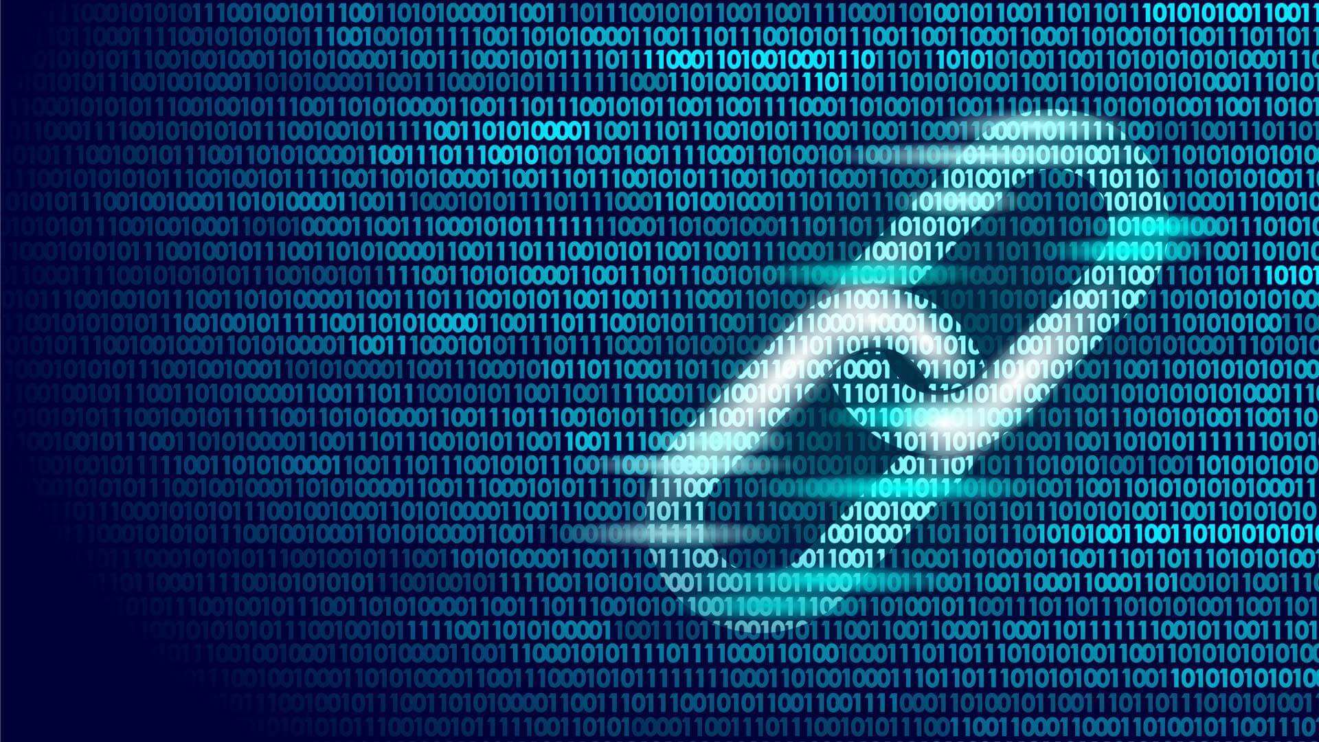 探索未知的数字世界，www.6523947810xcom 的奇妙之旅
