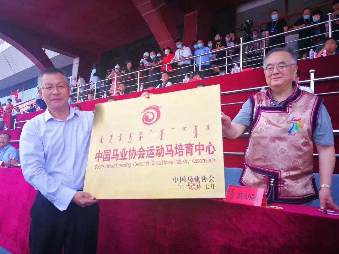 免费资料大放送，马会资讯全攻略2020年马会资料精选免费大全