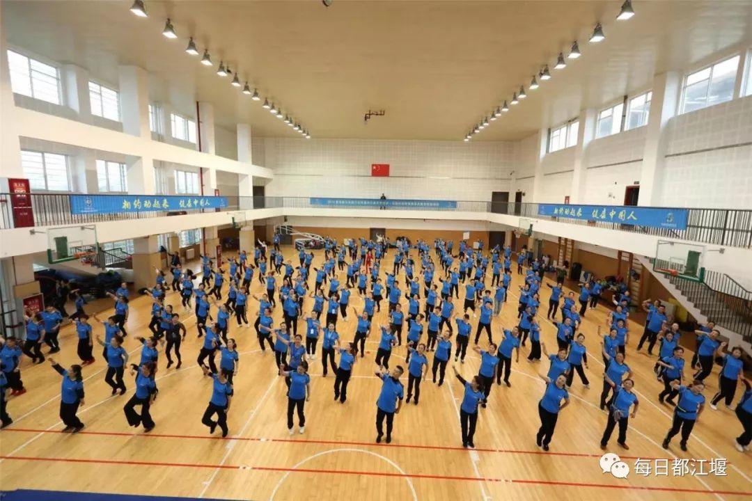 2019年马会全年资料回顾，精彩瞬间与数据亮点二o一九年马会全年资料大全
