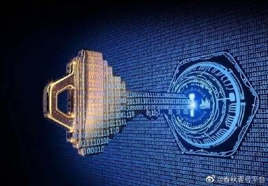 探索数字世界的新篇章，www.7890234561的奇妙之旅