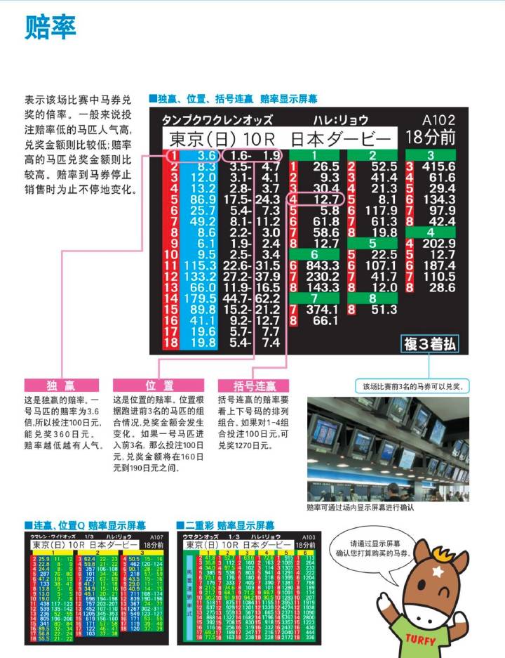 免费马会传真论坛，赛场内外的新兴交流平台马会传真论坛免费资料十年