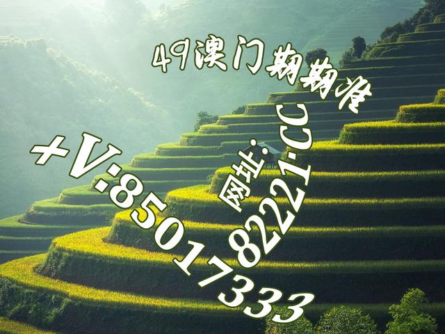 探索红姐图库，数字时代的创意宝藏红姐图库红姐统一图库红姐彩色统一图