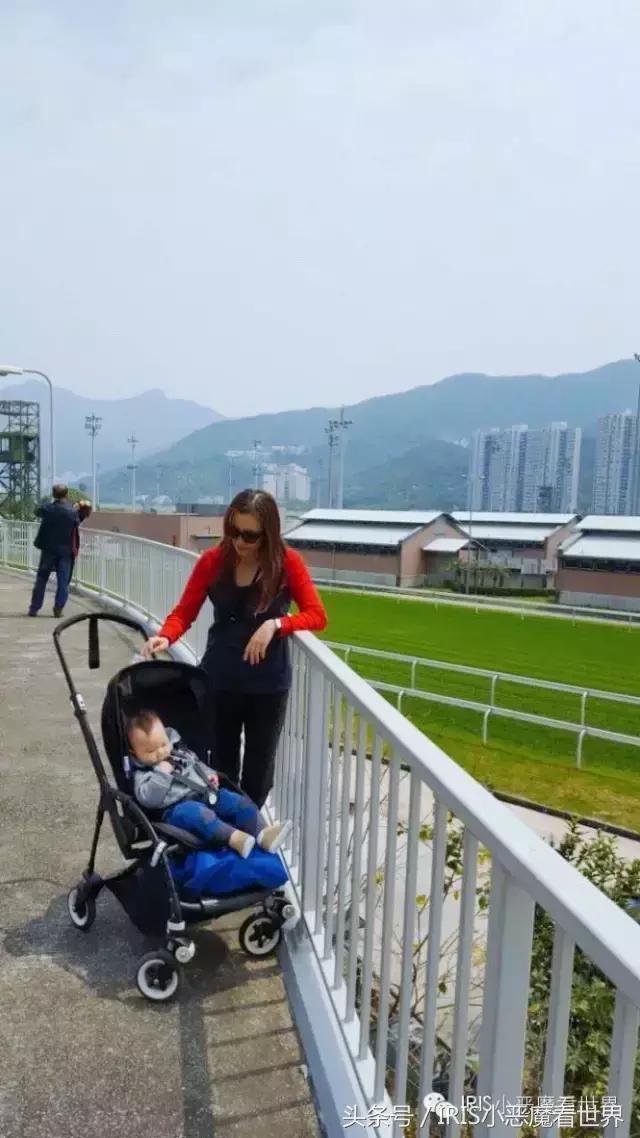 探索香港正版马会精选资料大全，揭秘赛马的智慧与激情香港正版马会精选资料大全福利彩票双色球