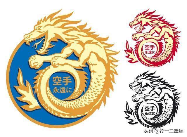 揭秘一肖三码，数字游戏中的幸运与智慧一肖三码必出一肖
