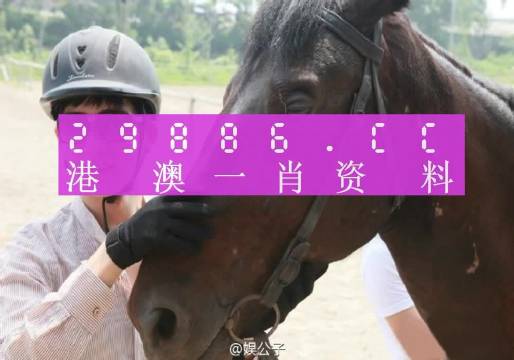 澳门一肖必中，揭秘背后的数字玄机与文化寓意澳门一肖一码一必开一肖技术分析解读