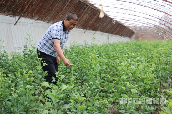 管家婆精准资料大全，打造高效管理与决策的利器