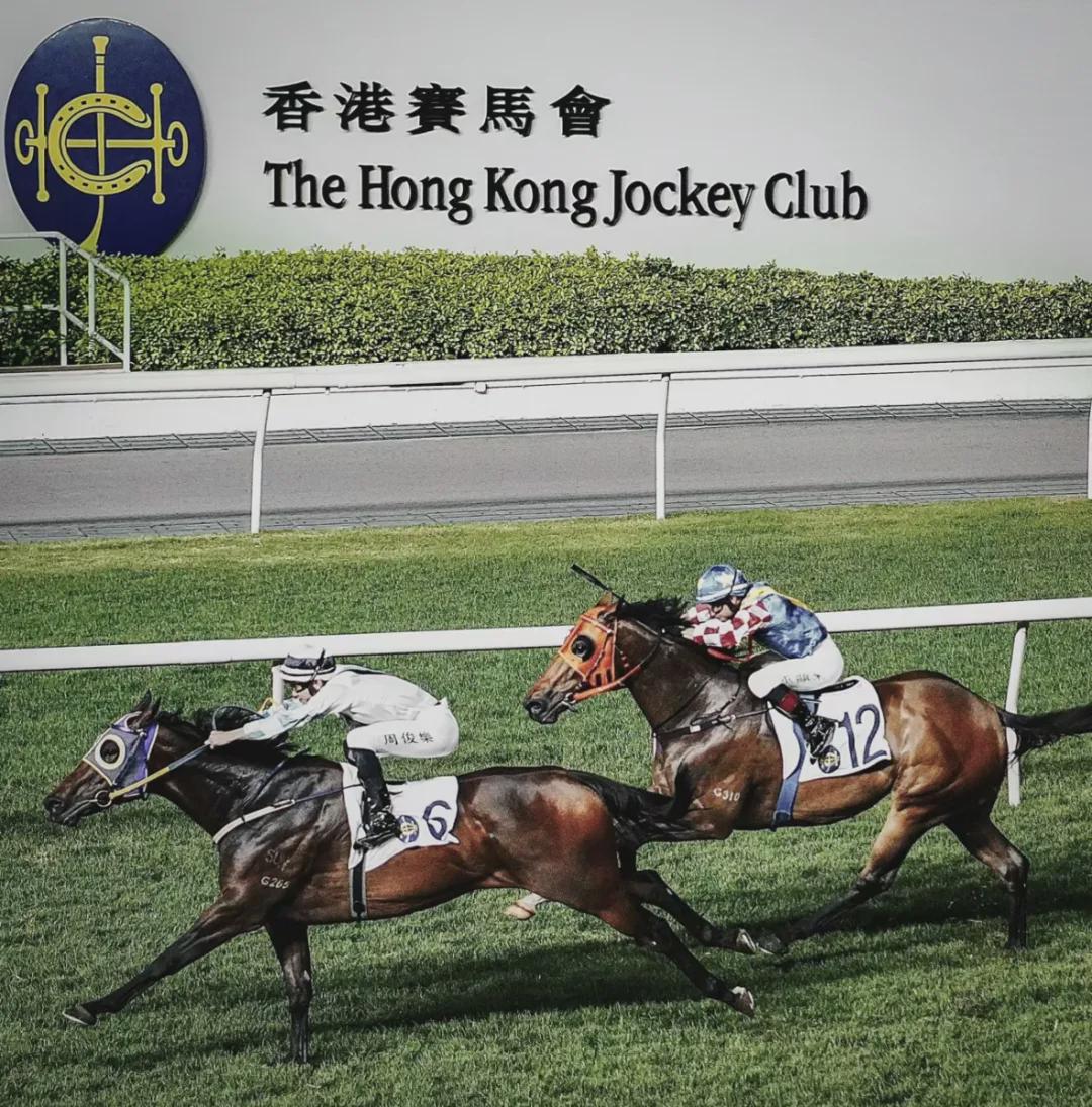 今期马会传真，揭秘香港赛马的精彩瞬间与背后故事今期马会传真内部封信