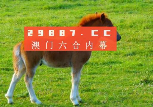 2019年澳门码开奖记录，回顾与反思的旅程2020澳门码开奖记录2020澳门码开奖记录城市信息网