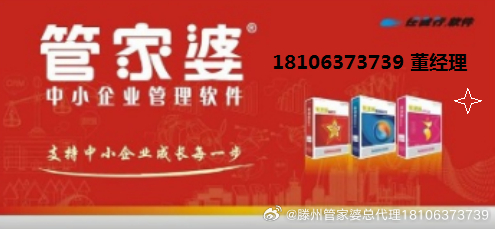 管家婆正版全年免费资料，中小企业管理新纪元