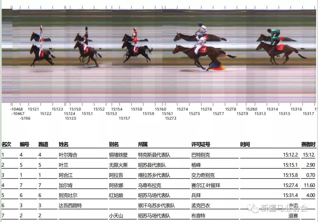 2031年马会正版香港资料大全，探索赛马的魅力与智慧投注的奥秘香港正版马会精选资料大全246