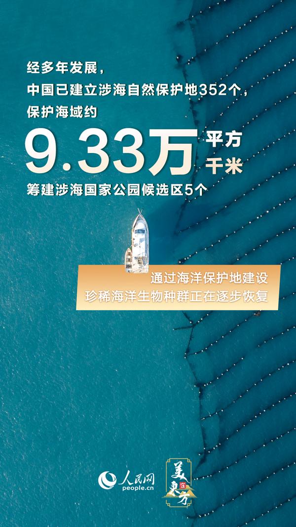 免费共享，新澳精准资料630期全面解析与价值探讨澳门新彩