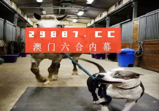 澳门一肖必中，揭秘背后的真相与风险澳门一肖一码必中一码珠圆玉润是什么动物