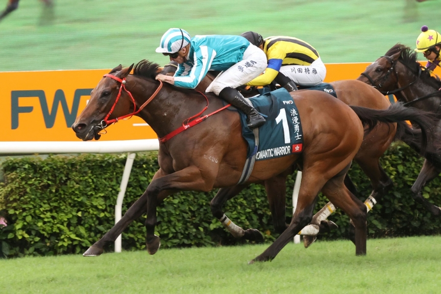 2019香港马会资料大全，探索赛马的魅力与文化