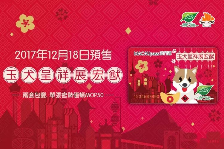 2045澳门正版资料大全，生肖卡揭秘与预测新趋势2024澳门精准正版免费