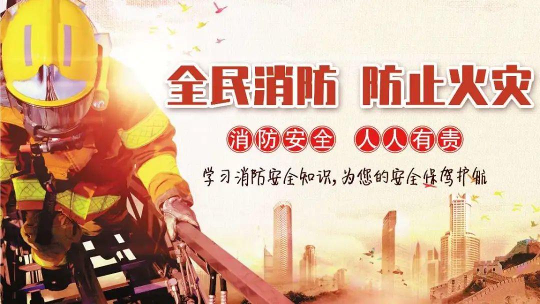 2043年香港开奖结果记录，透视数字背后的社会与文化现象2024年香港开奖结果记录20期