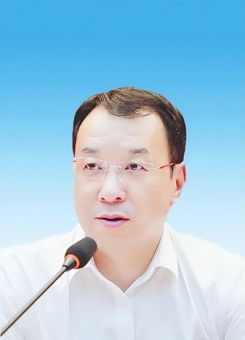 泰和在线论坛，连接智慧与交流的桥梁泰和在线论坛崛起