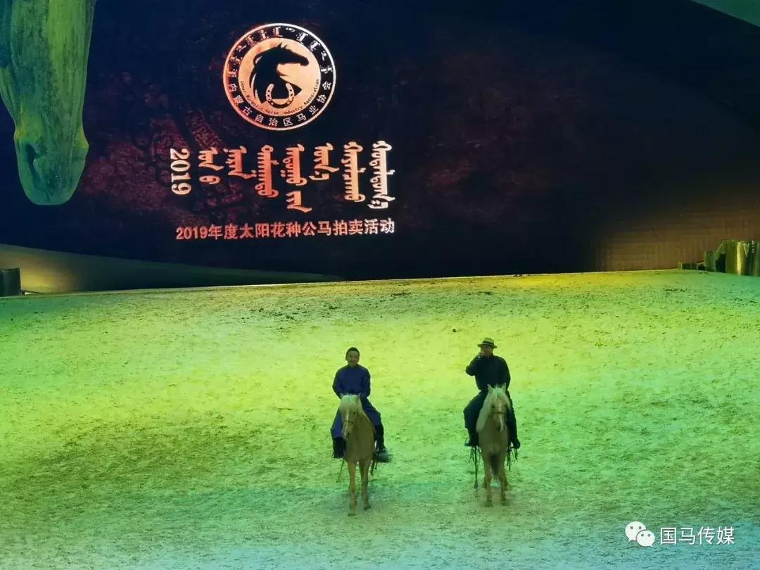 今期香港开奖结果记录，透视彩票文化与公众生活的微妙交织今期香港开奖结果记录如何查询