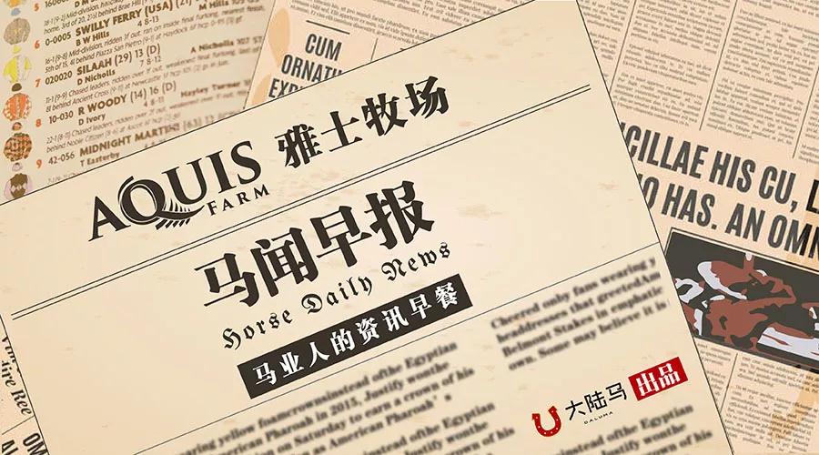 揭秘马会传真1326-CC，香港赛马的数字密码马会传真13262cc使用方法